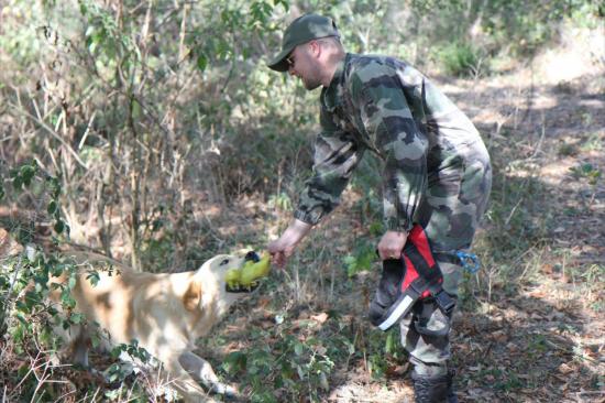 Le jeu, moteur essentiel de la discipline